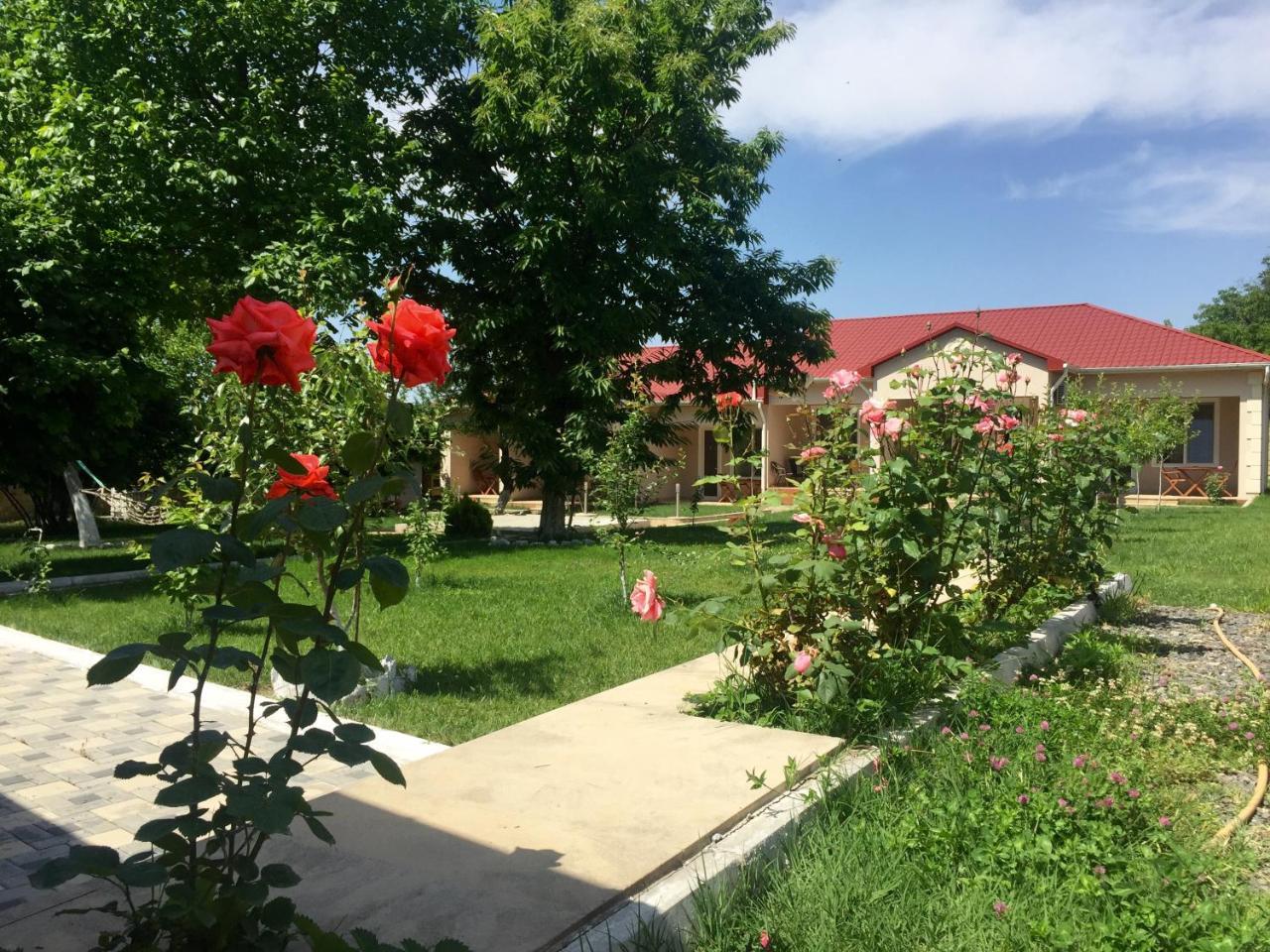 One Dom Cottage 盖贝莱 外观 照片