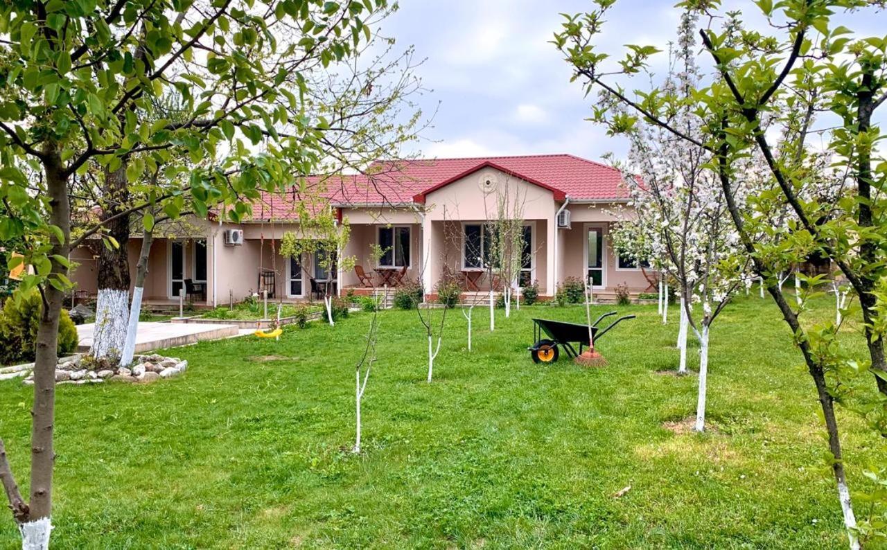 One Dom Cottage 盖贝莱 外观 照片